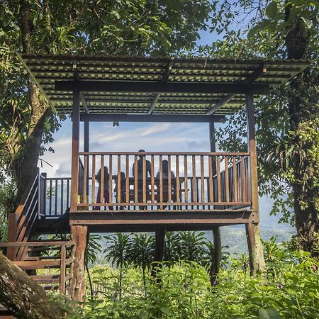 "Hana'S Celeste Retreat" Large Modern Villa Sleeps 6 On 20 Acres Of Nature! Bijagua Eksteriør bilde