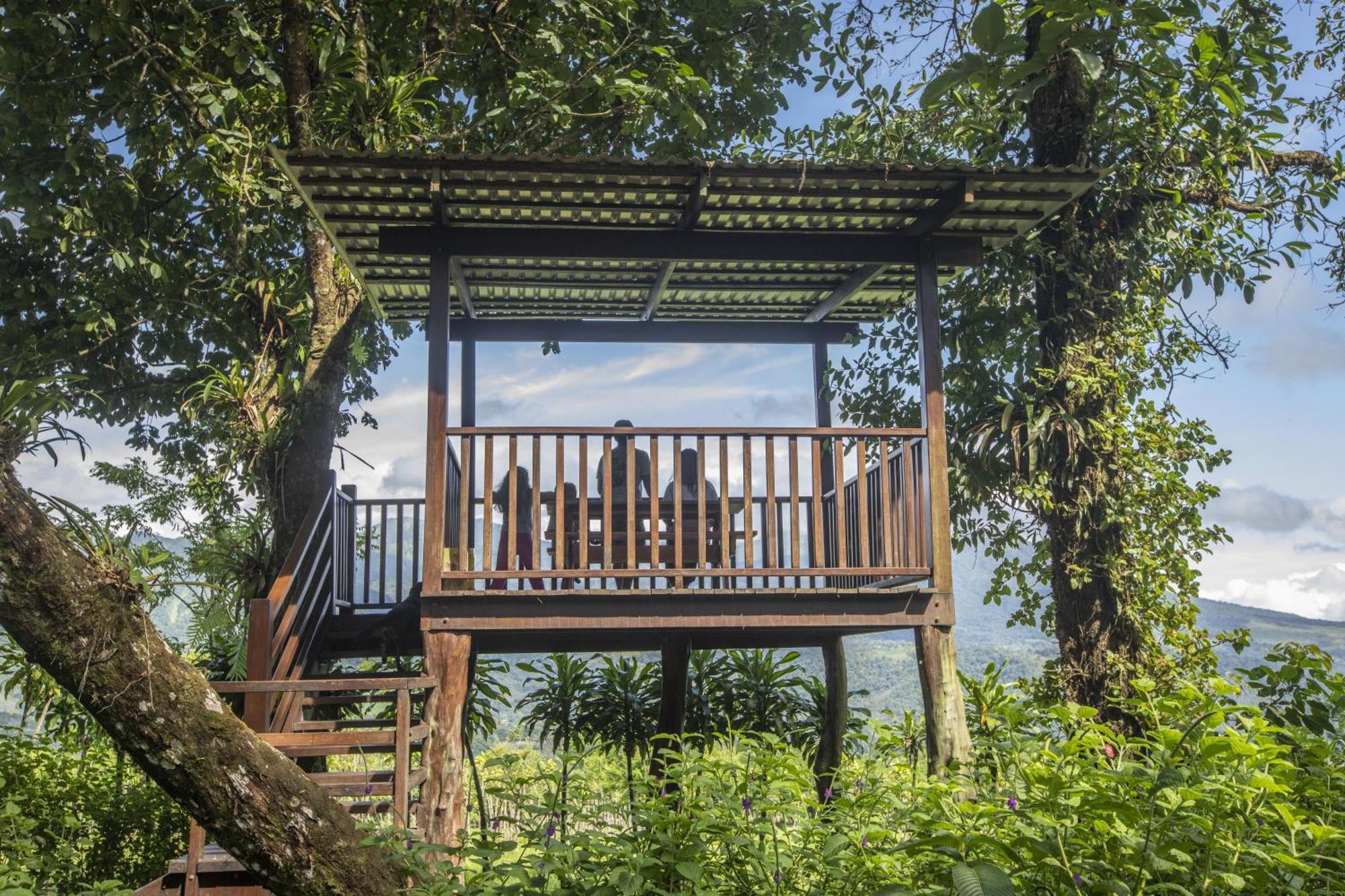 "Hana'S Celeste Retreat" Large Modern Villa Sleeps 6 On 20 Acres Of Nature! Bijagua Eksteriør bilde